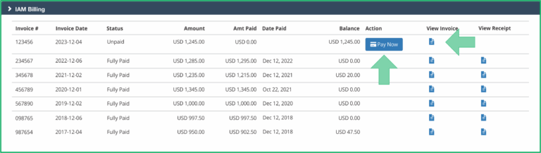 IAM Billing tab expanded showing Pay Now and View Invoice options